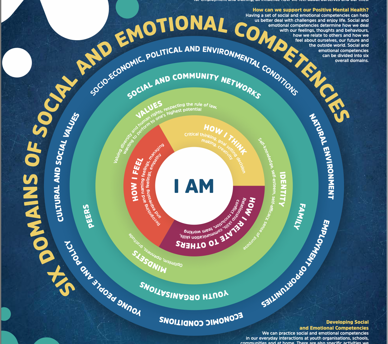 Infographic on Domains of Social and Emotional Competencies